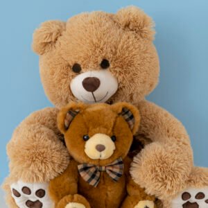 Plush Teddy Bear