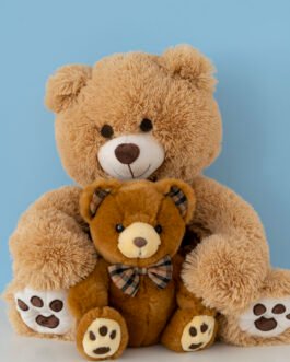 Plush Teddy Bear