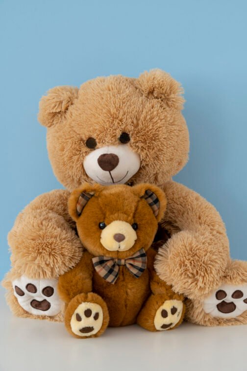 Plush Teddy Bear